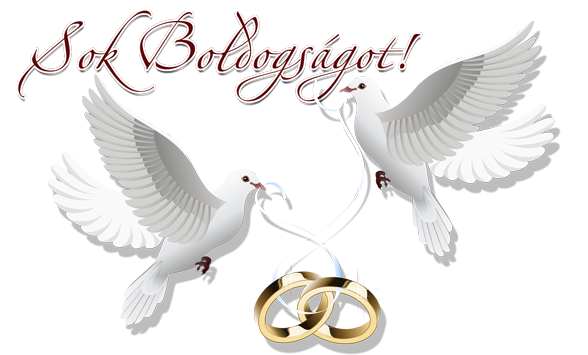 esküvői galambok